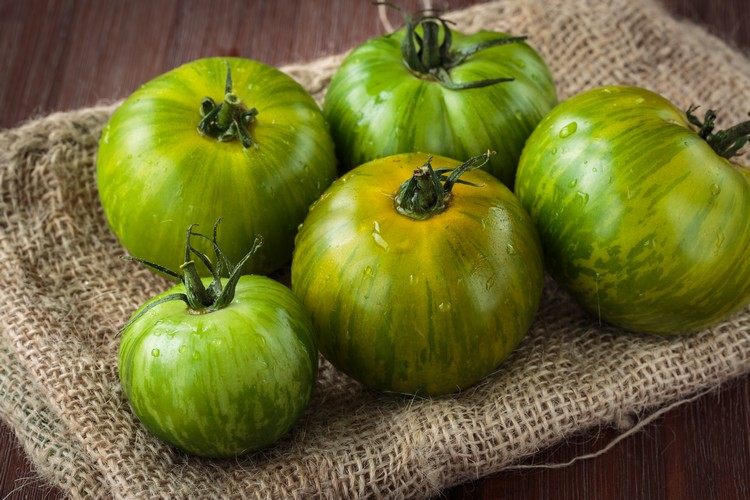 Grønne tomater er giftige edderkopper, der fjerner hjemmemedicin