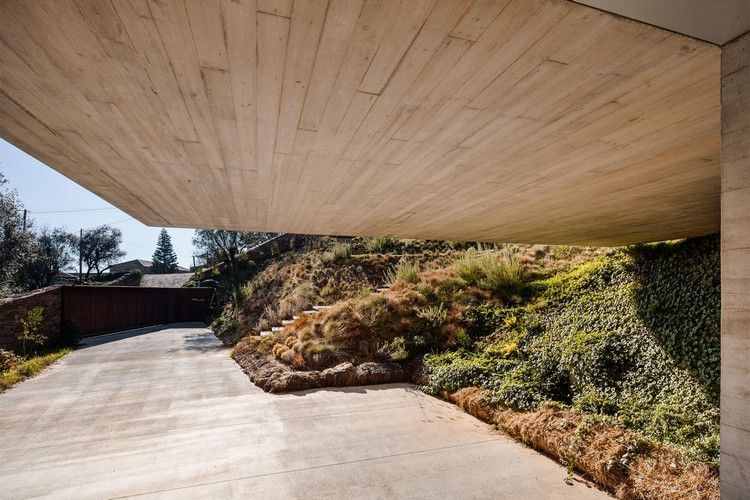 betonhus cantilever terning have tørke-elskende planter