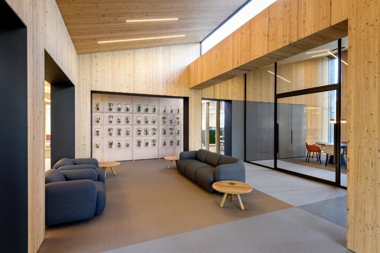 træpaneler på væggene i et moderne kontorlokale kombineret med planter i glasbeholdere