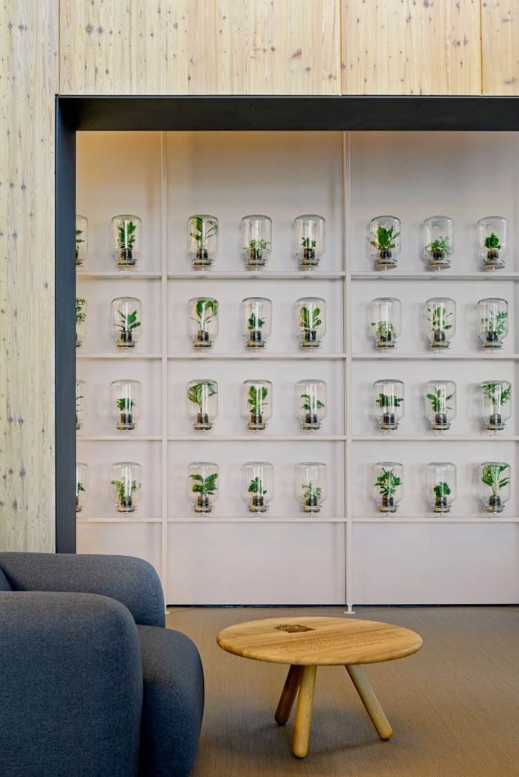 lodret have i et minimalistisk interiør med planter i glasbeholdere