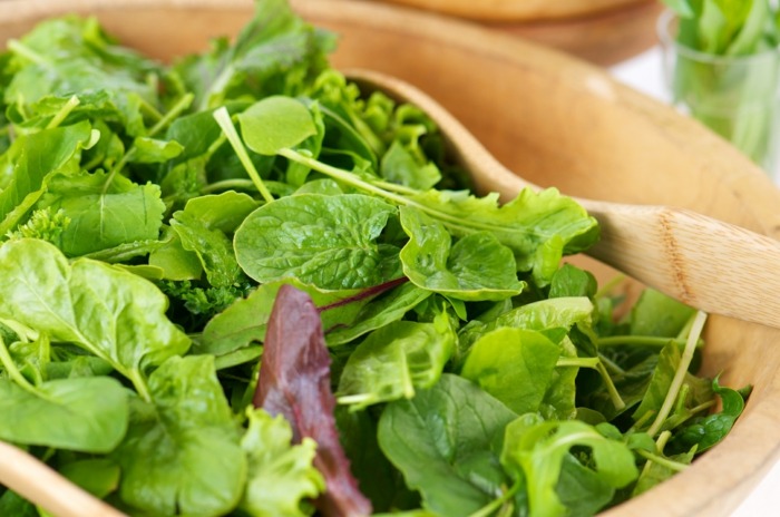 frisk salat sund mad havefrø høstplanter