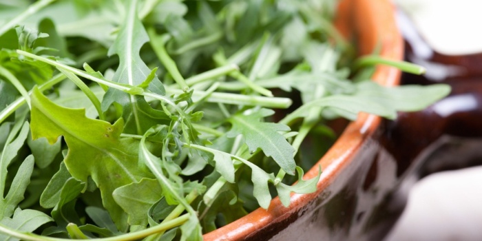 arugula planter havesalat lerkrukke