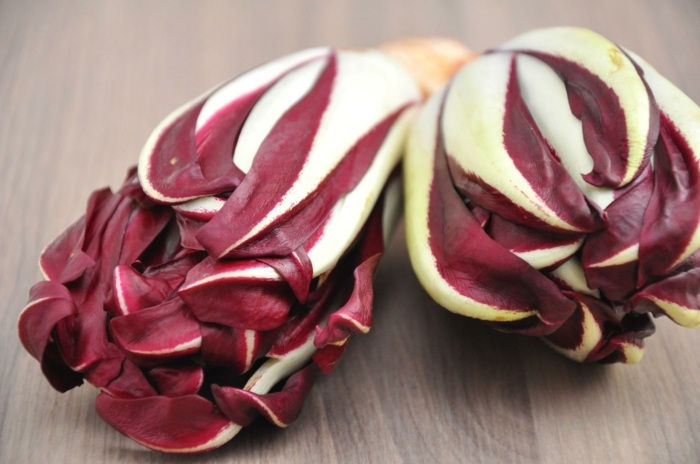 radicchio arter langstrakte salatplanter rød farve sund