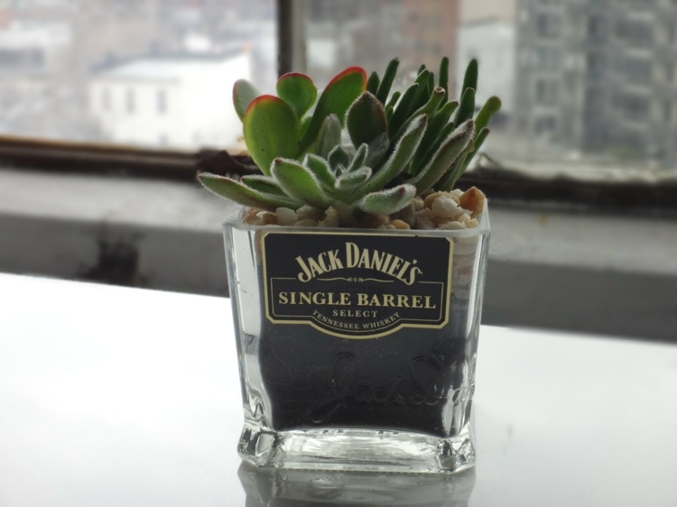 glas whisky jack daniels blomsterpotte inspiration saftigt