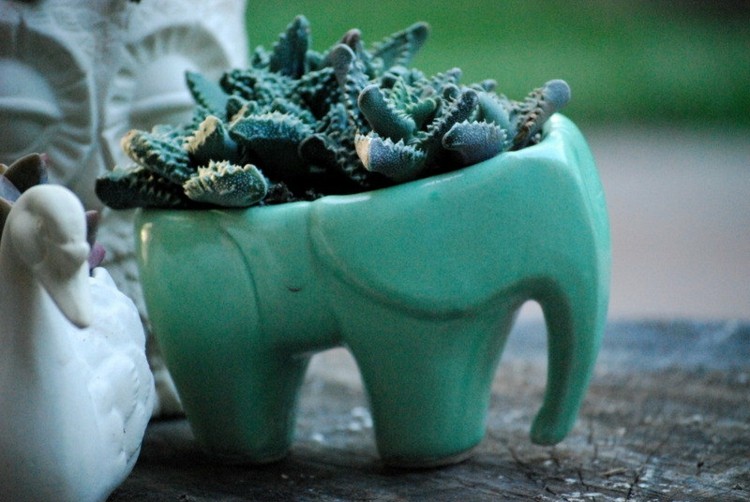 idé blomsterpotte design turkis elefant planter svane