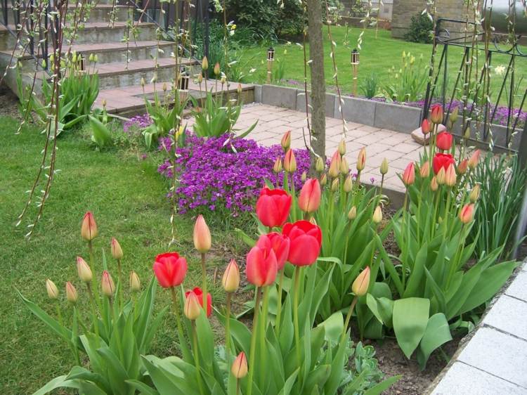 Blomster-i-forår-tulipan-violer