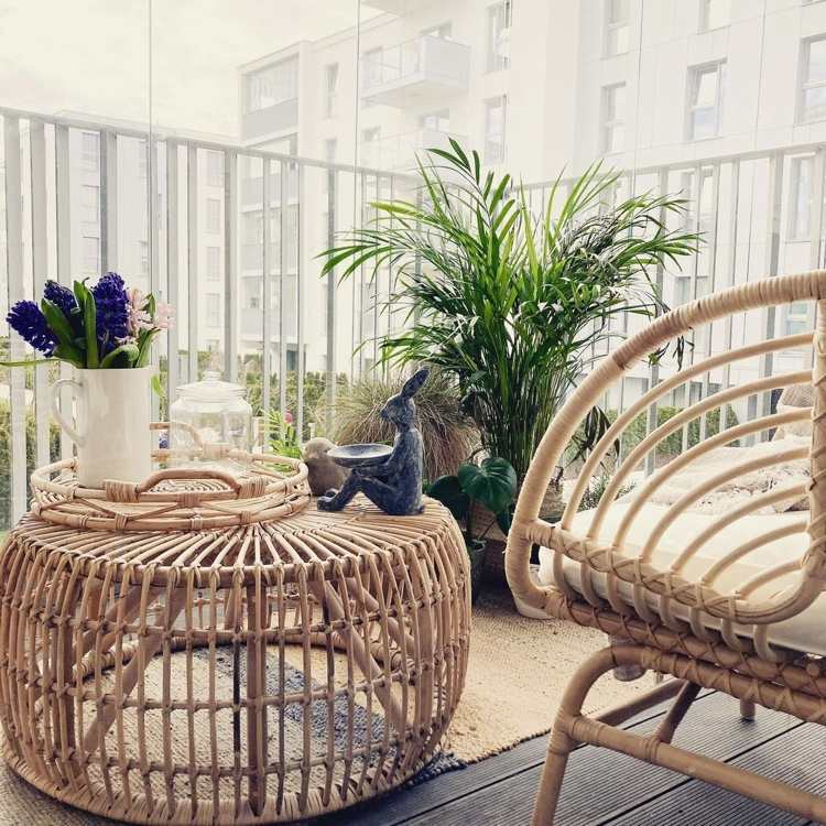 Mini palmetræ til balkonen i boho -stil