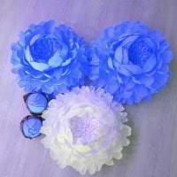 modré papierové kvety v dizajnovom obrázku slávnostnej siene