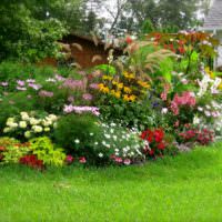 Trädgårdsbädd med fleråriga växter