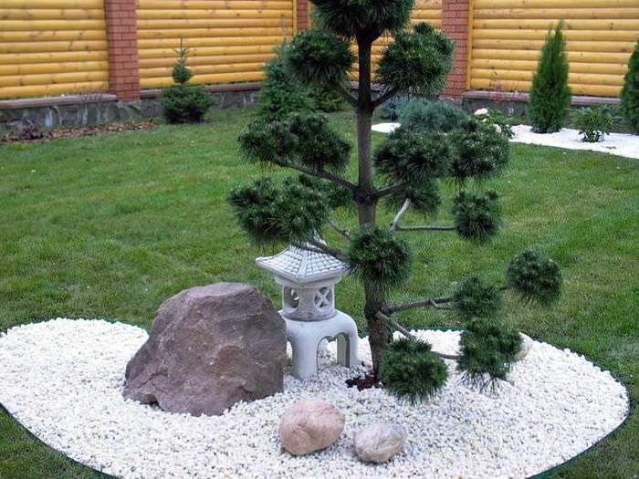 Miniaturní kompozice ve stylu japonské zahrady