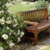 Lezení růží poblíž zahradní lavičky