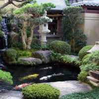 Ett hörn av den japanska trädgården vid deras sommarstuga