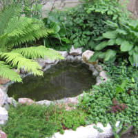 Malý rybník na předměstí