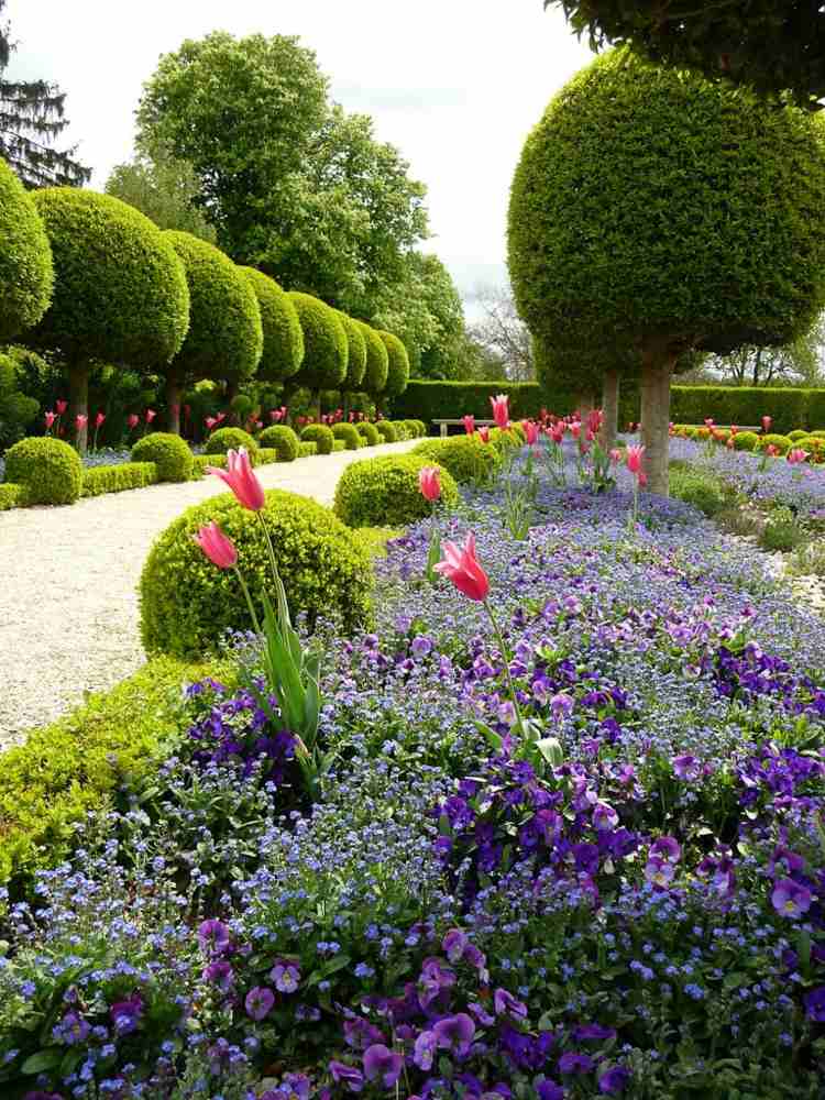 buksbom haven idé træer sfæriske blomster lilla blomster