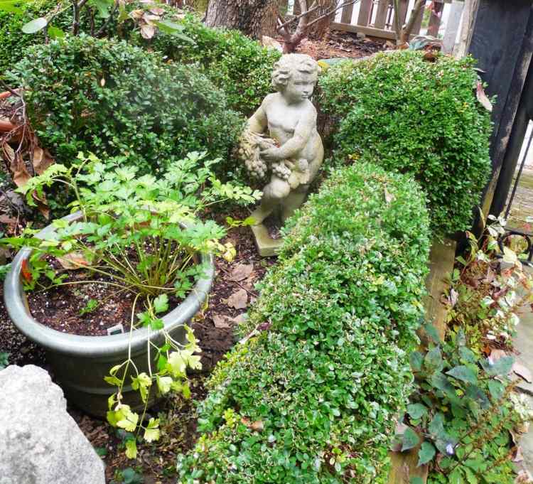 buksbom haven haven engel statue planter vinter stedsegrønne