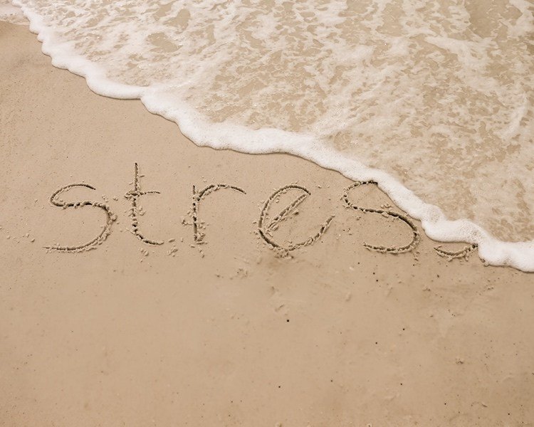 Reguler cortisol som et stresshormon