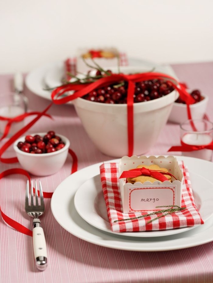 tranebær-rød-bord-dekoration-bryllup-jul