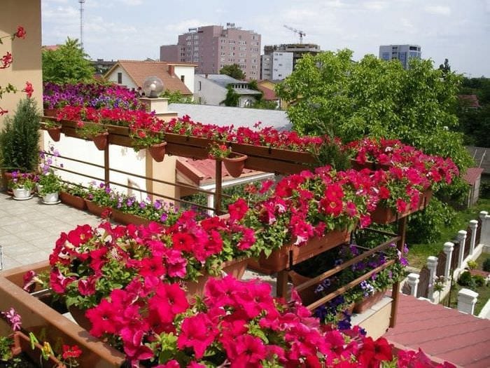 smukke blomster på balkonen på hyldernes design