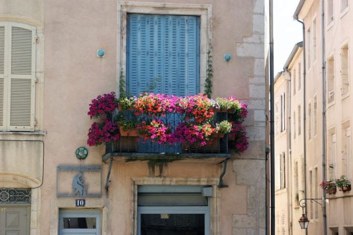 κομψά λουλούδια στο μπαλκόνι σε ένα όμορφο σχέδιο