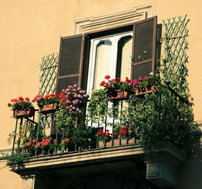 smarte blomster i det indre af balkonen på hvad der er interiør
