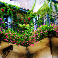 smukke blomster på balkonen på whatnots interiørbillede