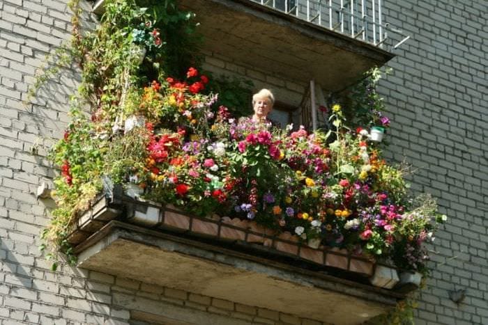 lyse blomster på balkonen på alt det indre