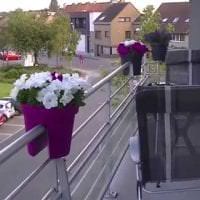 φωτεινά λουλούδια στο μπαλκόνι σε μια απλή φωτογραφία σχεδιασμού