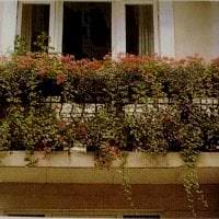 smukke blomster på balkonen på overligger eksempel foto