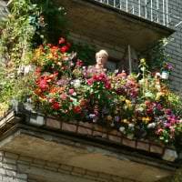 smukke blomster på balkonen på overligger eksempel foto