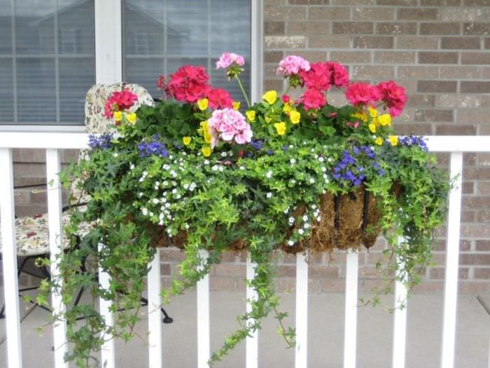 smukke blomster på balkonen på eksempelvis noget