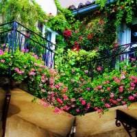 smukke blomster på balkonen på whatnots design billede