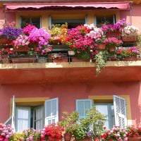 smukke blomster på balkonen på overligger eksempelbillede