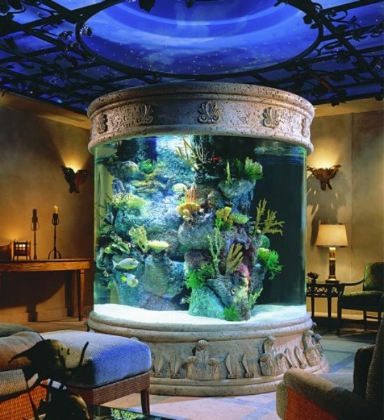 Opret et akvarium derhjemme som en dekoration antik stil