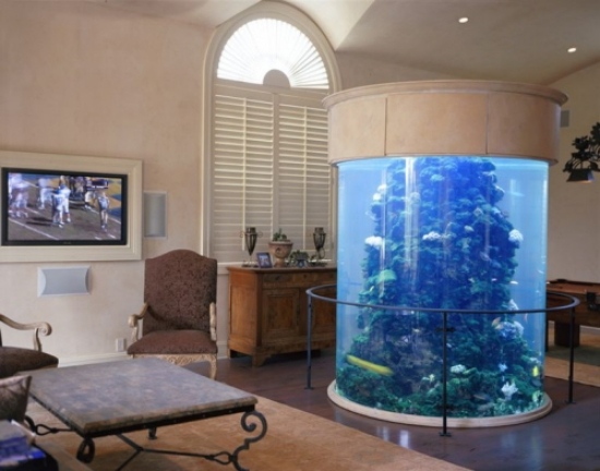 Opsæt et akvarium som et dekorativt element i stuen deco