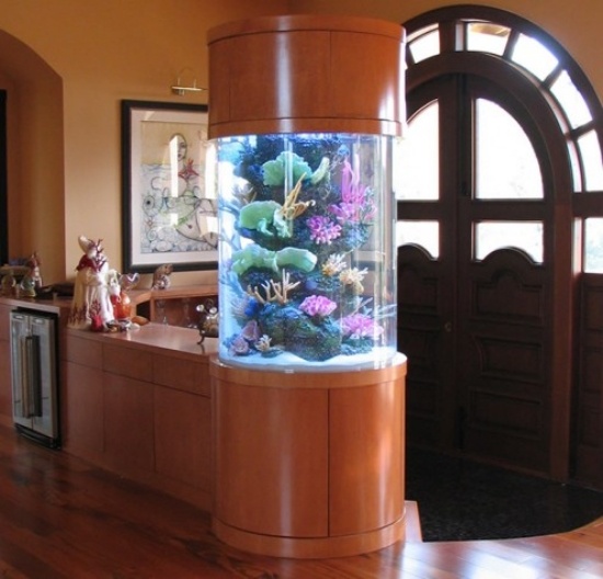 Opsæt et akvarium derhjemme som en dekoration integreret rundt