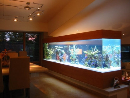 Opsæt et akvarium derhjemme som dekoration i interiøret