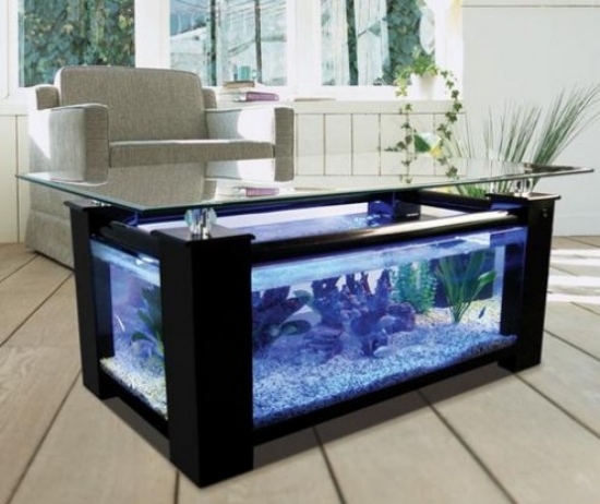 Opsæt et akvarium derhjemme som et dekorationssofabord sort