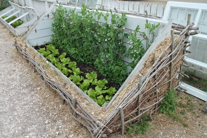 drivhus bygning have hotbed sticks hø dyrkning af grøntsager