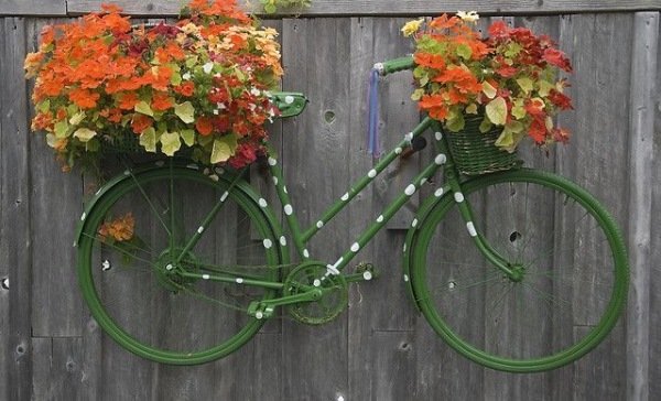 have dekoration træ have hegn-gammel cykel væg dekoration blomsterpotte