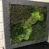 Volumetrická maľba zeleného machu