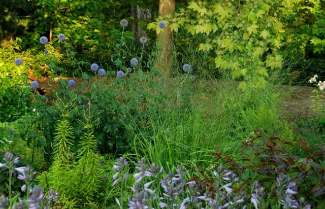 Designideer kombinerer friske blomster græsser