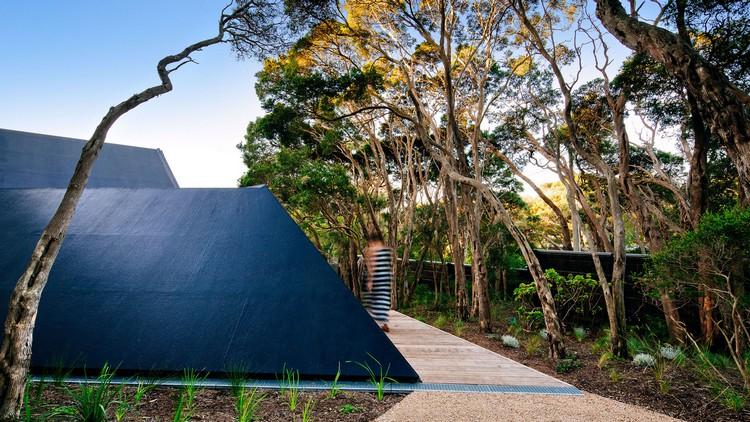 design sommerhus skråtag kystskov moderne bjerghytte ekstraordinær form natur moonah træer