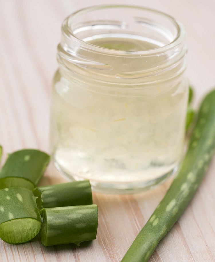 detox-vand-aloe-idé-forberedelse-planter-murer krukke