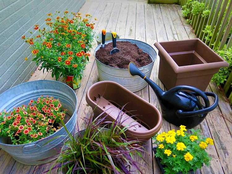 Efterårsblomster til altaner blomsterkasser-plante-jord-vandkande