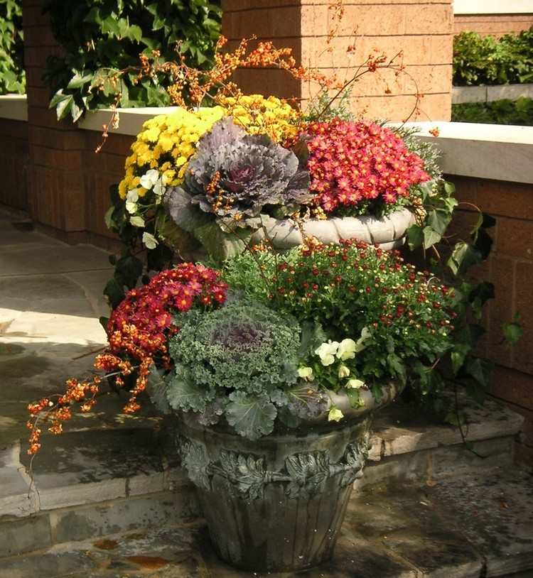 Efterårsblomster til altan altankasser-blomsterkasser-plantning-efterårsplanter