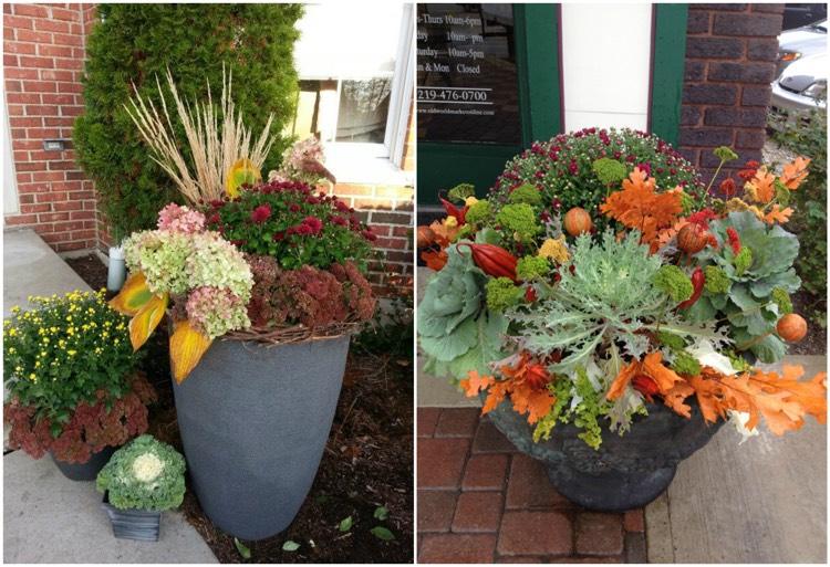 efterårsblomster-plante-kombinationer-asters-hortensiaer-krysantemum