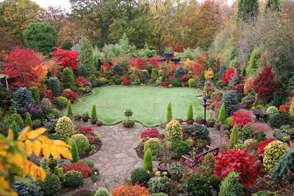 Efterårshave vinter forberede ideer instruktioner blomster plantning