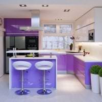svetlá fasáda kuchyne na obrázku vo fialovom odtieni