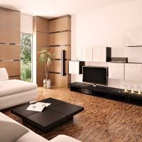esimerkki kevyestä olohuoneen suunnittelusta minimalismin valokuvan tyyliin