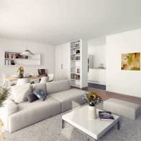 lehetőség egy gyönyörű nappali dekorációra a minimalizmus fotó stílusában